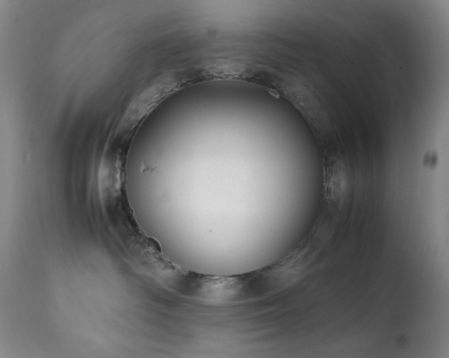 X0000112040334200908031522
