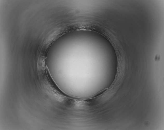 X0000112040336200908031522