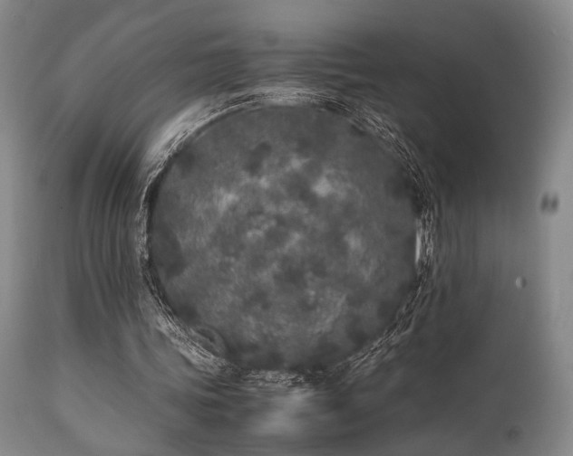 X0000112040339200908031521