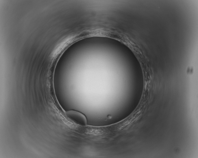 X0000112040341200908031521