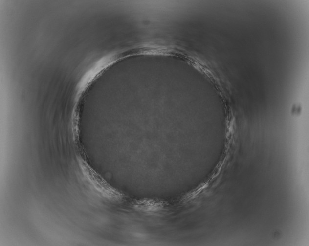 X0000112040343200908031521