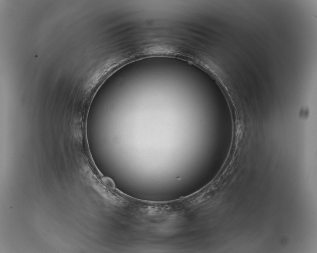 X0000112040345200908031522