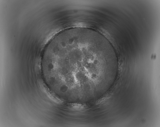 X0000112040347200908031522