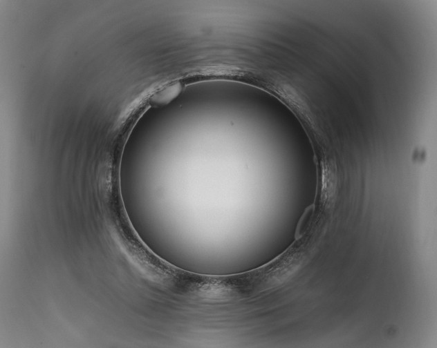 X0000112040348200908031522
