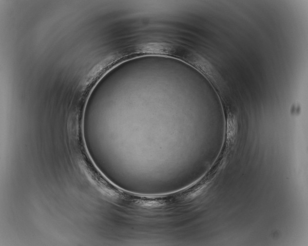 X0000112040349200908031522