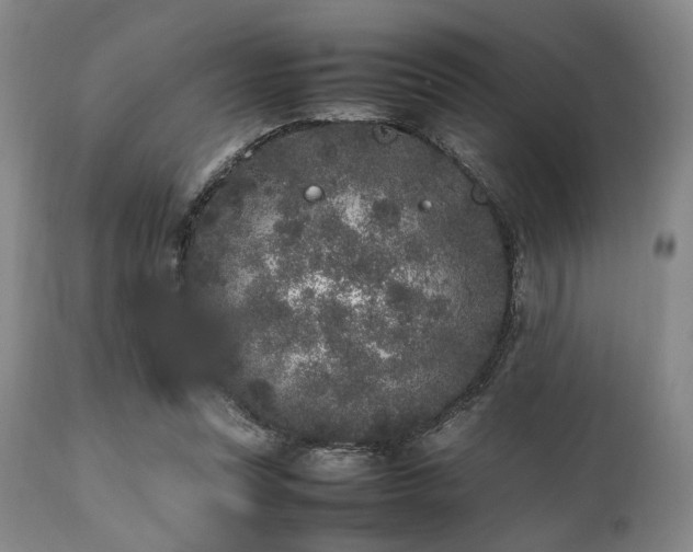 X0000112040351200908031522