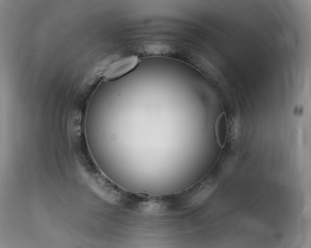 X0000112040356200908031522