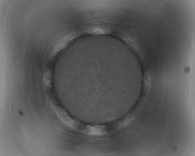 X0000112040359200908031522