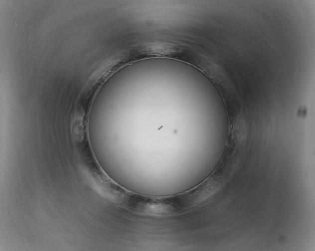 X0000112040360200908031522