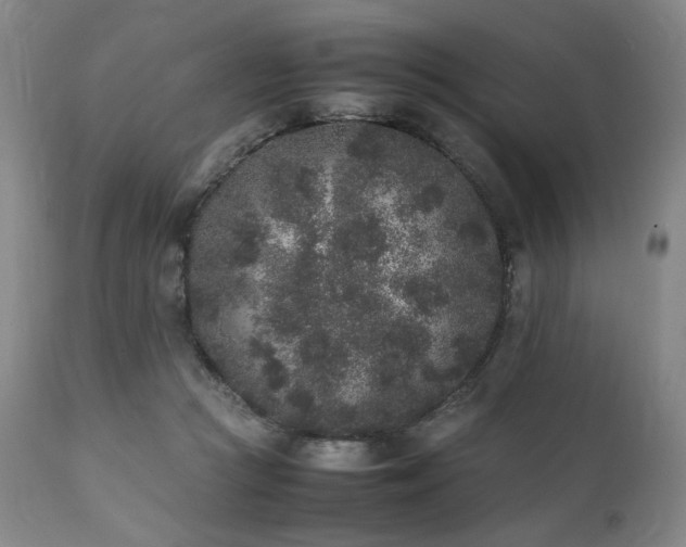 X0000112040361200908031522