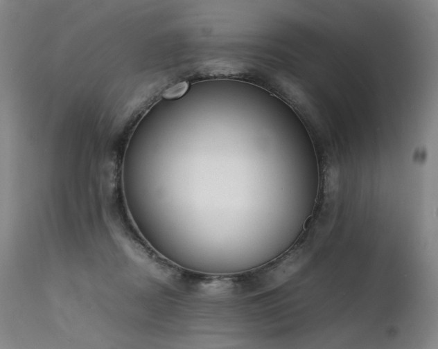 X0000112040362200908031522
