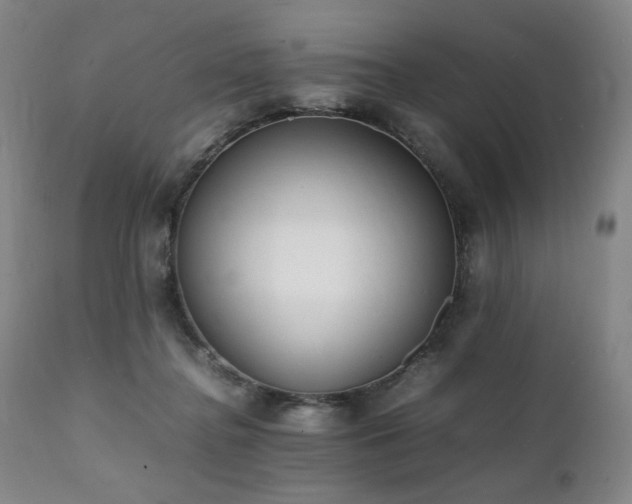 X0000112040364200908031522