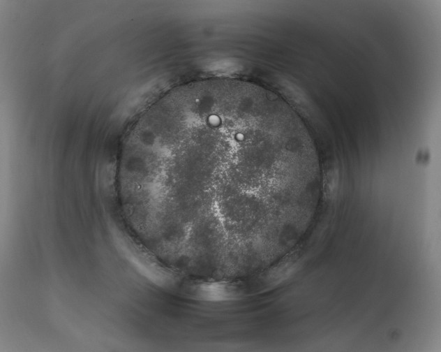 X0000112040365200908031522