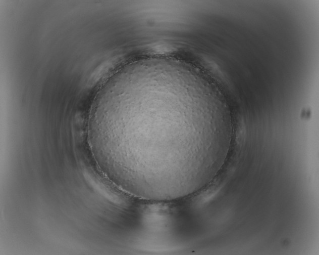 X0000112040366200908031522