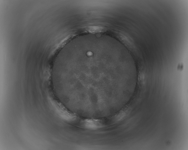 X0000112040367200908031522