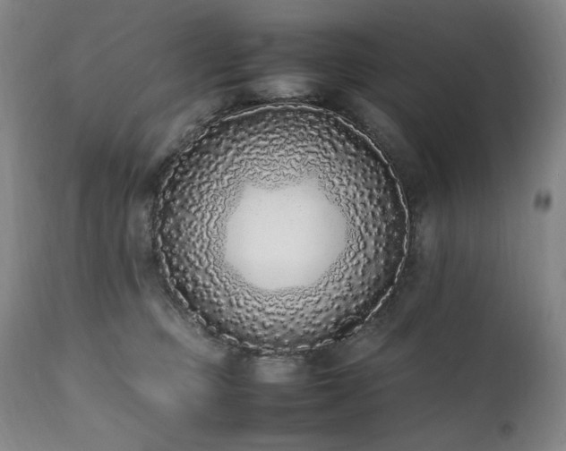 X0000112040373200908031522