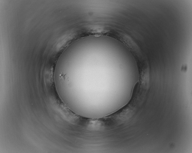 X0000112040376200908031522