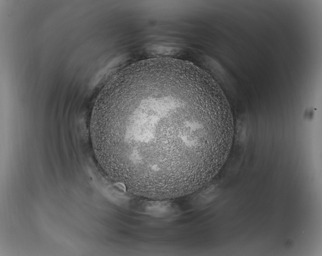 X0000112040377200908031522