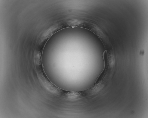 X0000112040378200908031522