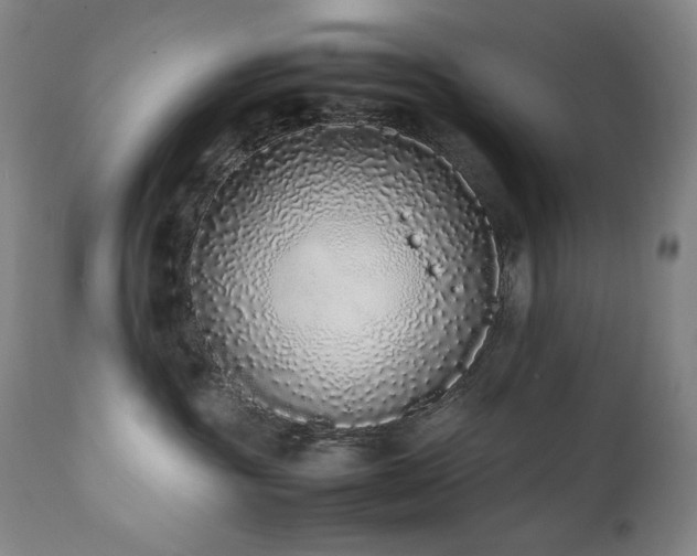 X0000112040381200908031522