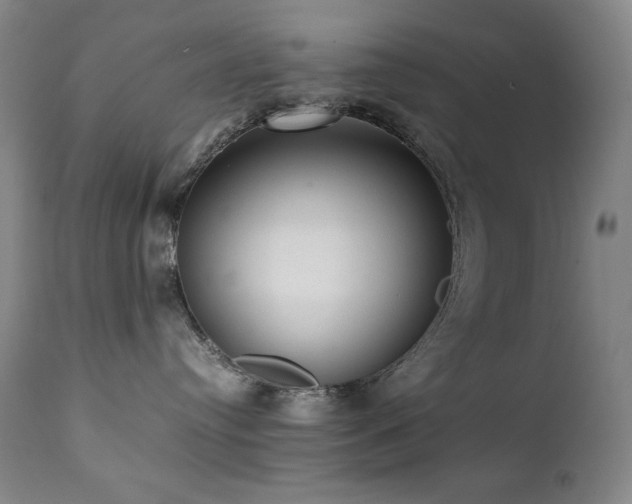 X0000112040384200908031522