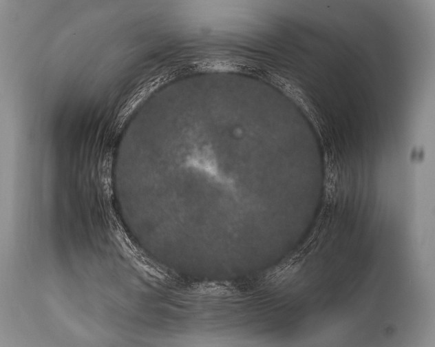 X0000112040386200908031521