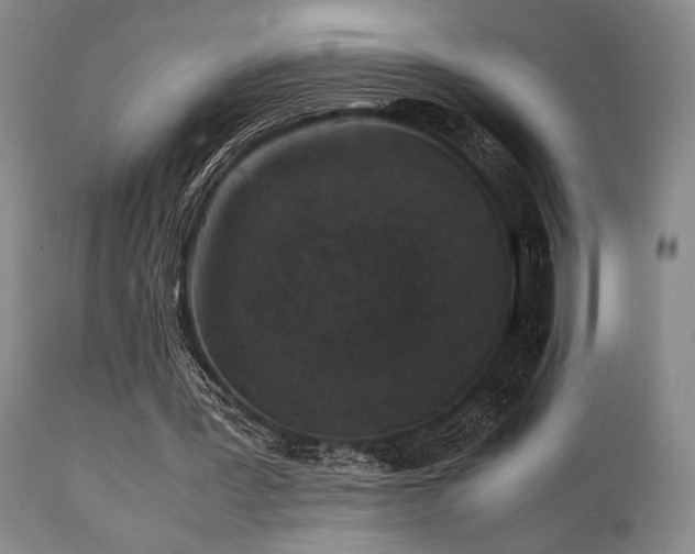 X0000112040387200908031521