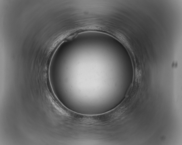 X0000112040389200908031521