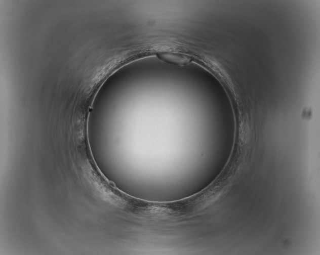 X0000112040393200908031521