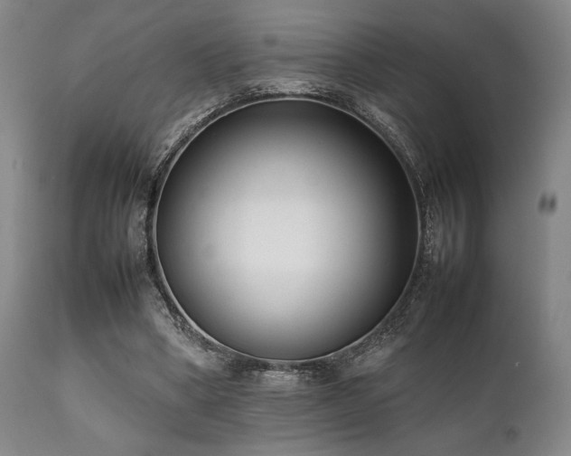 X0000112040394200908031521