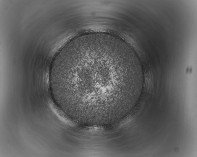 X0000112040398200908031521