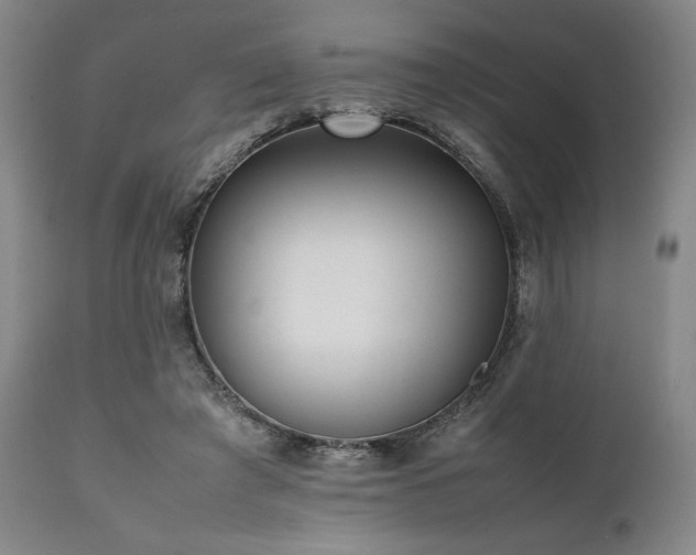 X0000112040401200908031521
