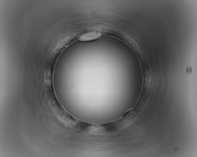 X0000112040403200908031521