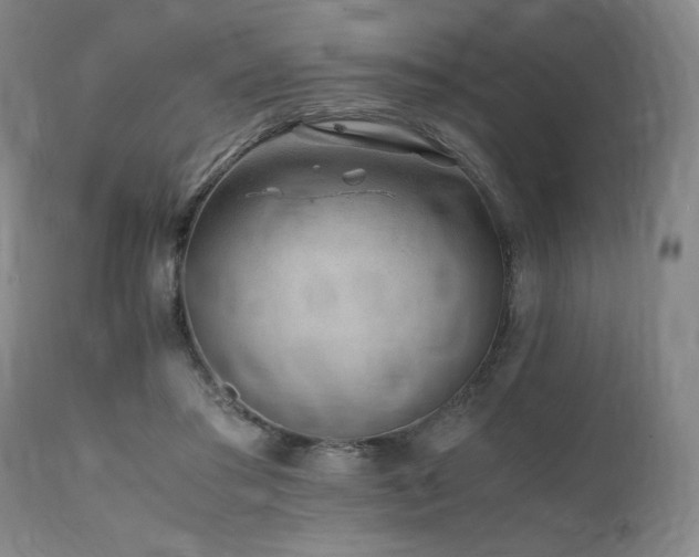 X0000112040405200908031521