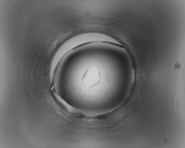 X0000112040407200908031521