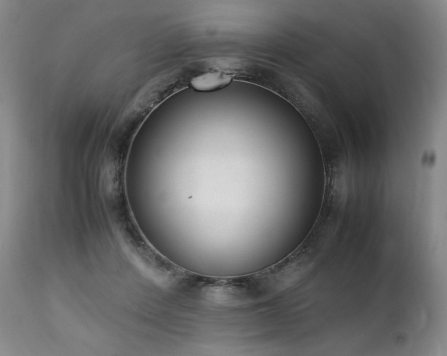 X0000112040408200908031521