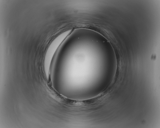 X0000112040409200908031521