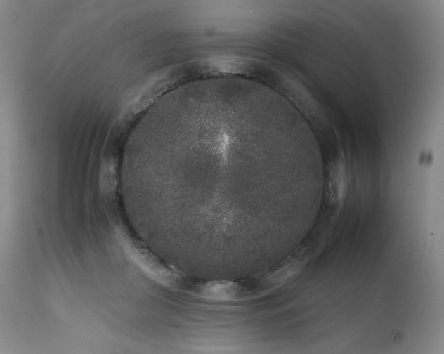 X0000112040410200908031521