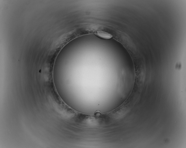 X0000112040416200908031521