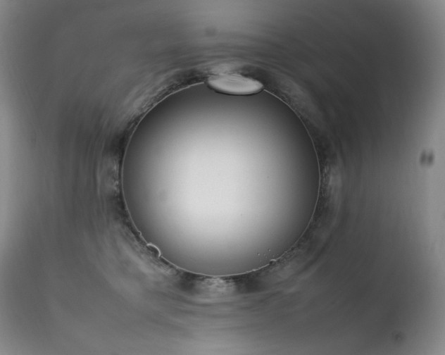 X0000112040421200908031521