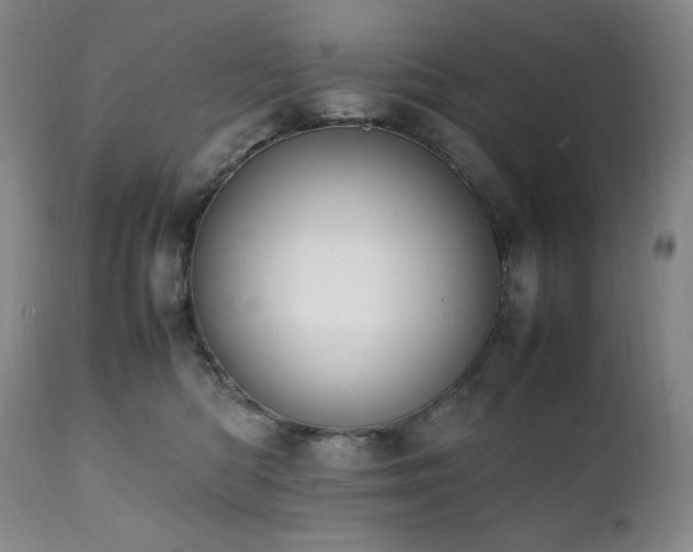 X0000112040422200908031521