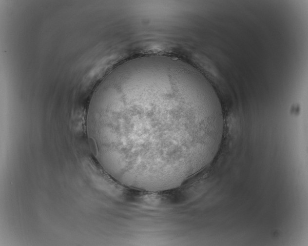 X0000112040423200908031521