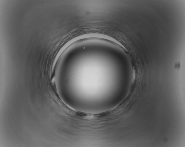 X0000112040425200908031521