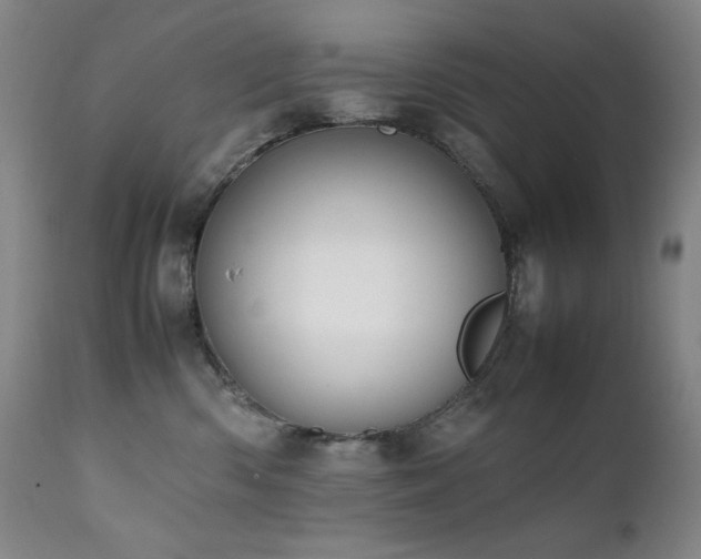 X0000112040426200908031521