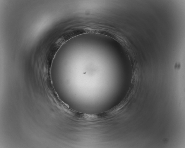 X0000112040429200908031521