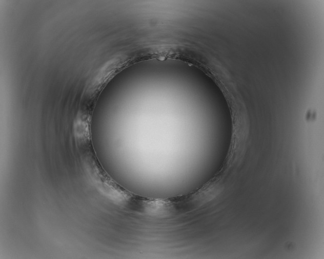 X0000112040432200908031521