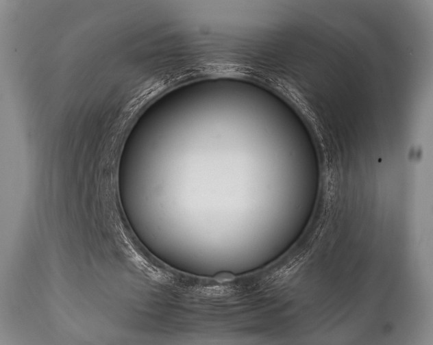 X0000112040433200908031520