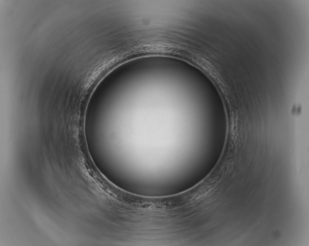 X0000112040434200908031520