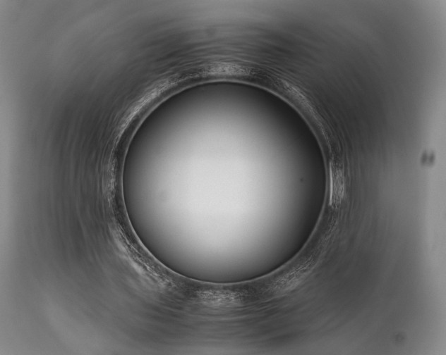 X0000112040435200908031520