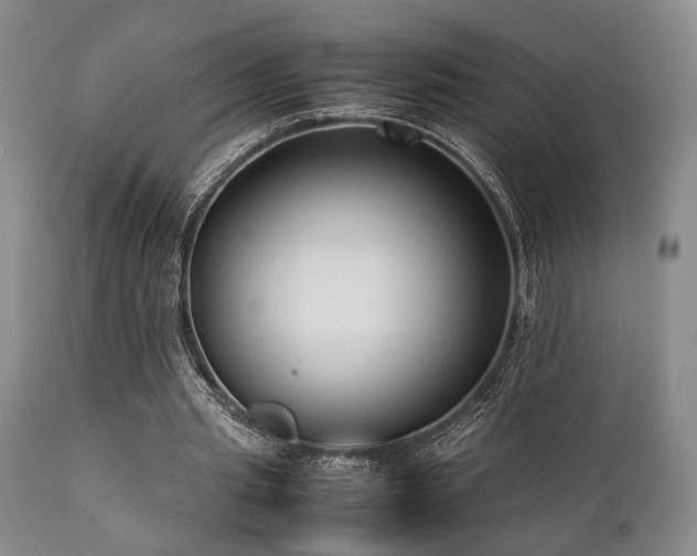 X0000112040437200908031520